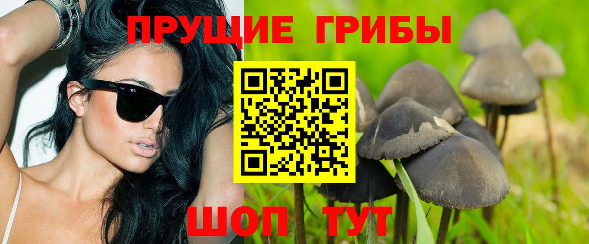 Галлюциногенные грибы GOLDEN TEACHER Полысаево